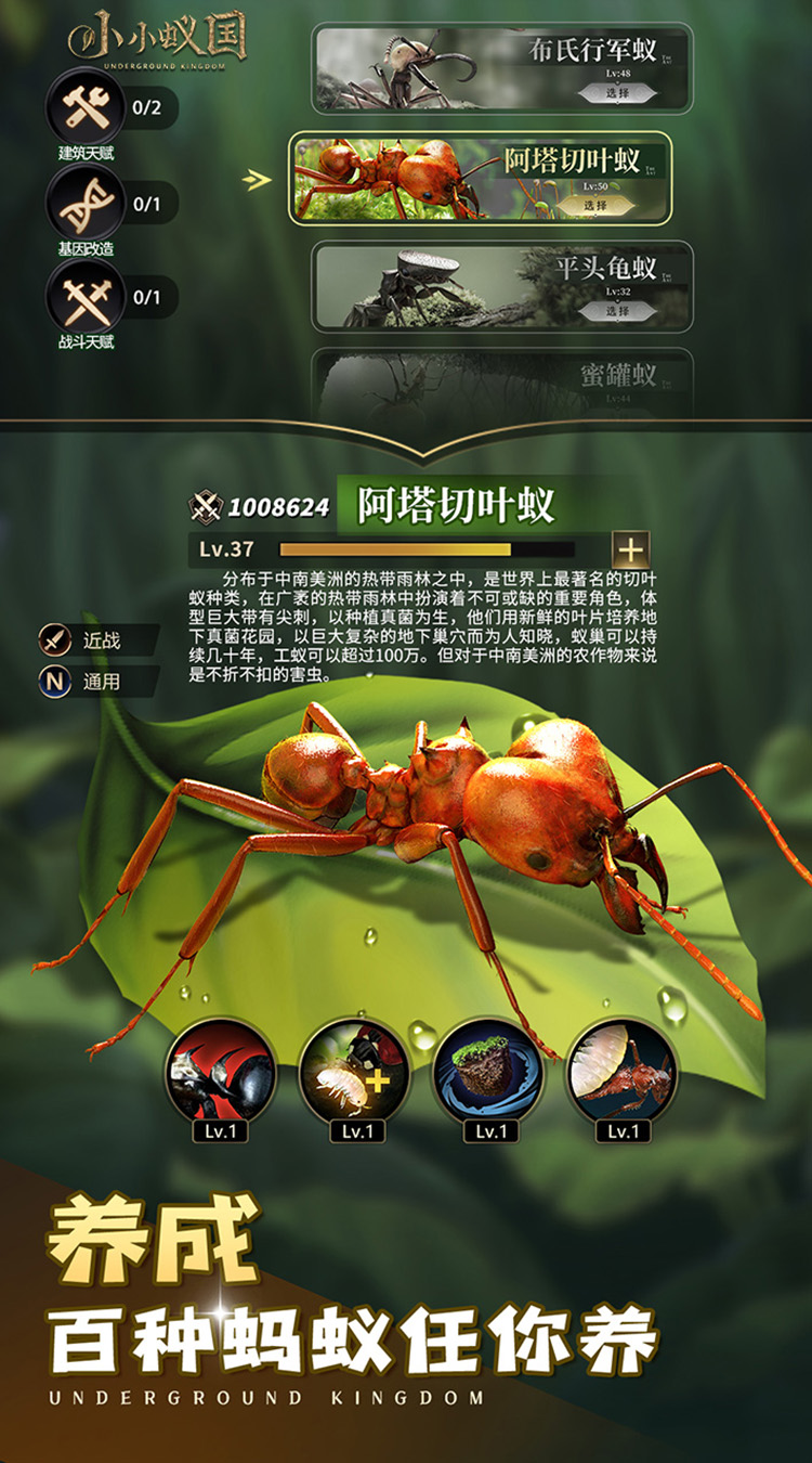 小小蚁国下载